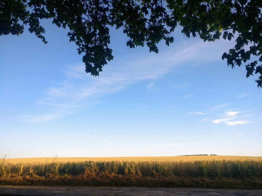 Barbecue ou piquenique à Amiens